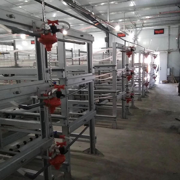 Layer breeding equipment